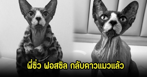Responsive image