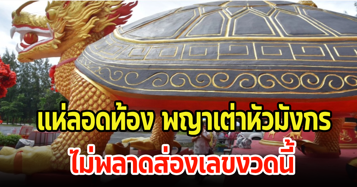 นักเสี่ยงโชคศรัทธา เดินลอดท้อง พญาเต่าหัวมังกร ไม่พลาดส่องเลขงวดนนี้ 16 ต.ค. 66