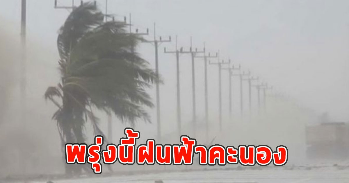 พรุ่งนี้ฝนฟ้าคะนอง เตือนจังหวัดรับมือ