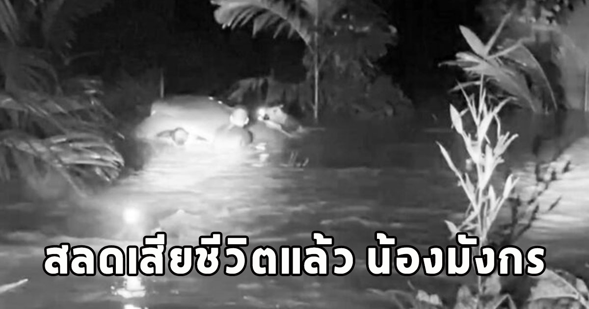 สลดเสียชีวิตแล้ว น้องมังกร ถูกน้ำป่าซัดหายรถตกถนน