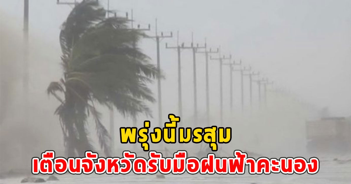 พรุ่งนี้มรสุม เตือนจังหวัดรับมือฝนฟ้าคะนอง