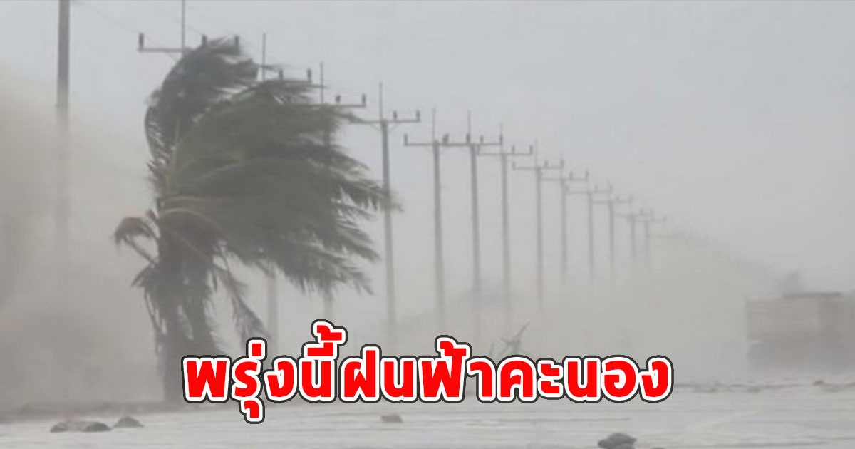 พรุ่งนี้ฝนฟ้าคะนอง เตือนจังหวัดรับมือ