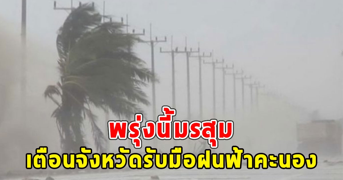 พรุ่งนี้มรสุม เตือนจังหวัดรับมือฝนฟ้าคะนอง