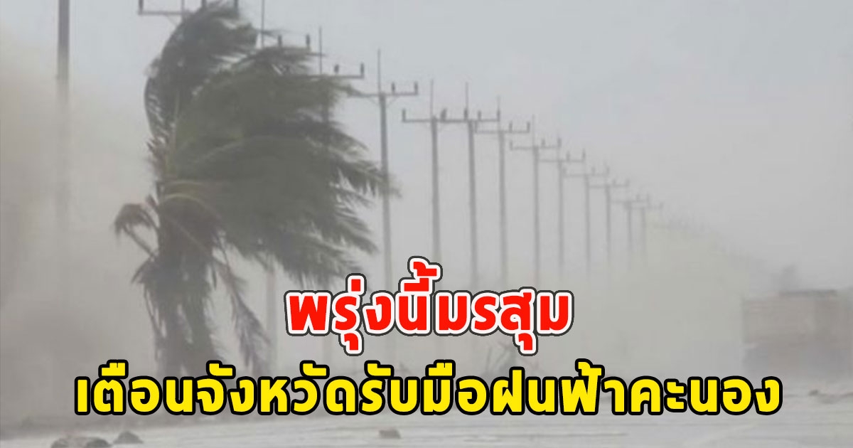 พรุ่งนี้มรสุม เตือนจังหวัดรับมือฝนฟ้าคะนอง