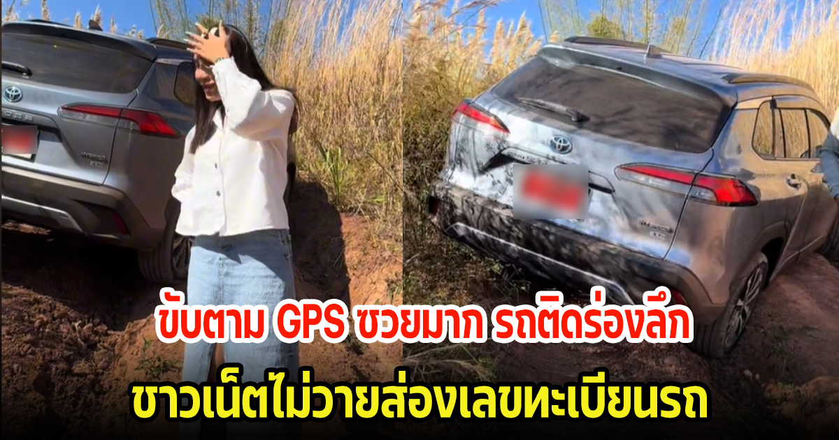 สาวเผยคลิป ขับรถตาม GPS ไปคาเฟ่ติดร่องลึกกลางเขา ไม่วายชาวเน็ตแห่ส่องป้ายแดง