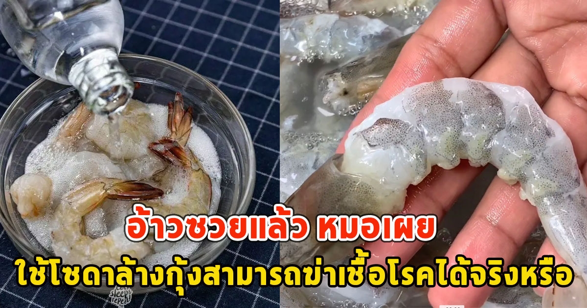 อ้าวซวยแล้ว หมอเผย ใช้โซดาล้างกุ้งสามารถฆ่าเชื้อโรคได้จริงหรือ