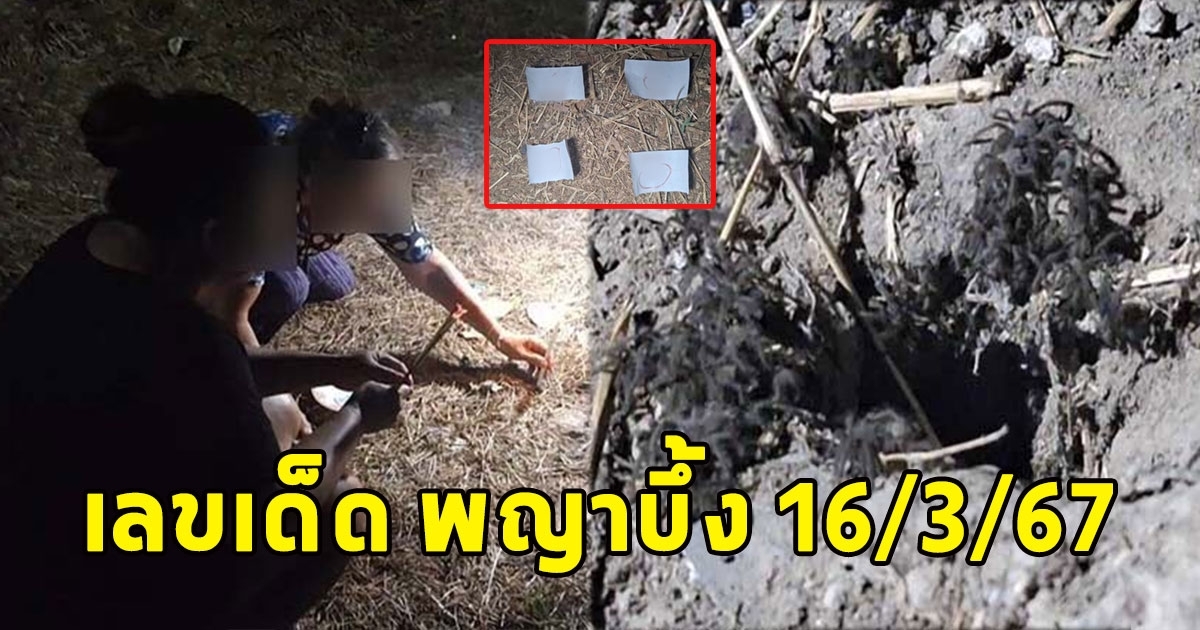 เลขพญาบึ้ง 16/3/67