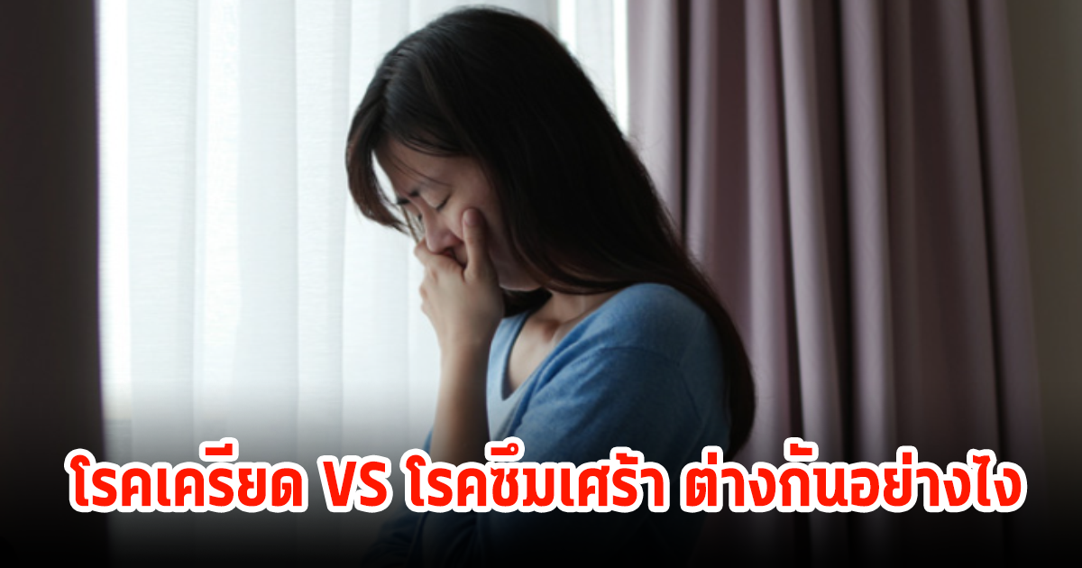 ความเครียด VS โรคซึมเศร้า แตกต่างกันอย่างไร?