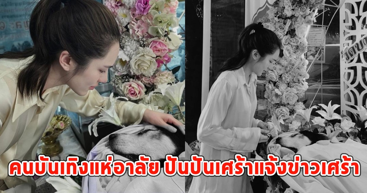 คนบันเทิงแห่อาลัย ปันปันเศร้าแจ้งข่าวเศร้า ขอบคุณที่อยู่กันมา13ปีนะลูกหมี
