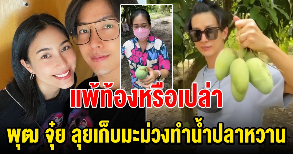 พุฒ จุ๋ย ลุยเก็บมะม่วงทำน้ำปลาหวานในไร่