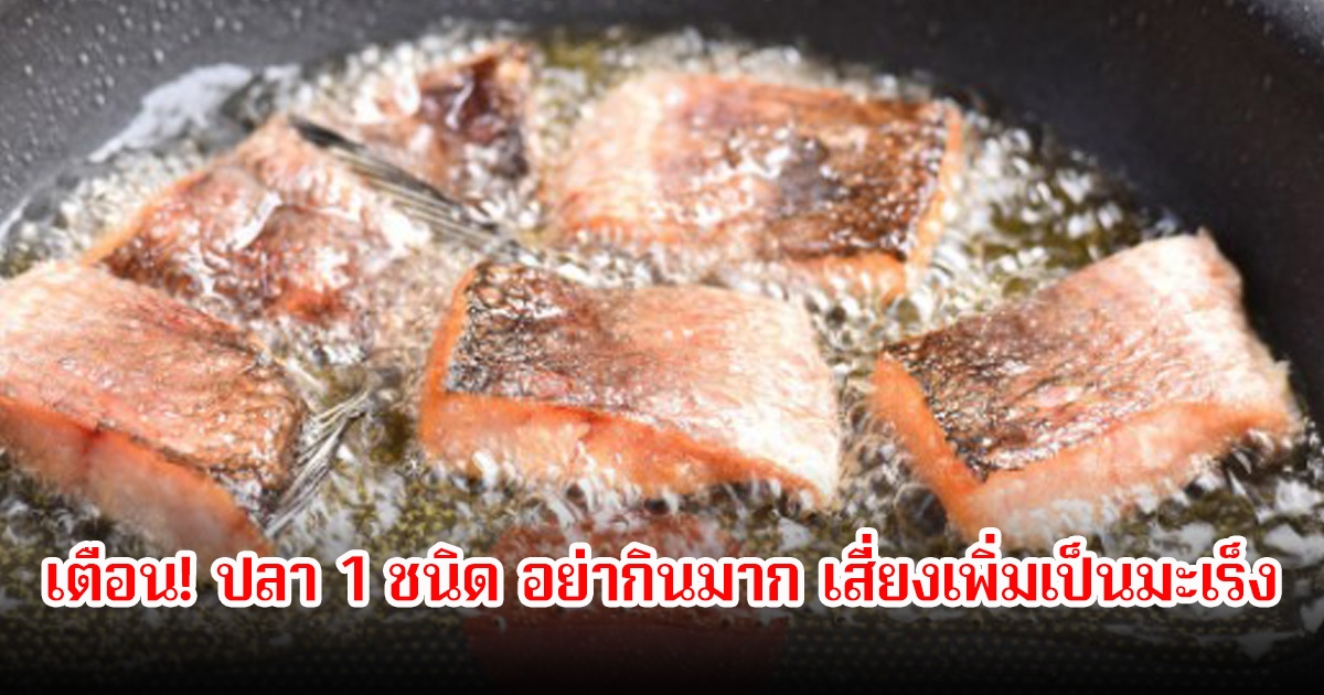 แพทย์เตือน! ปลา 1 ชนิด อย่ากินมาก เสี่ยงเพิ่มเป็นมะเร็ง พบหลายคนชอบกินกันเพียบ