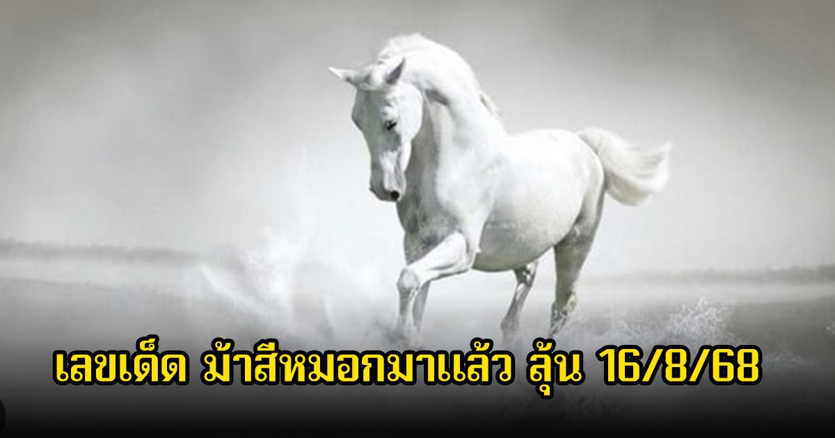 เลขเด็ด ม้าสีหมอกมาแล้ว ลุ้น 16/8/68
