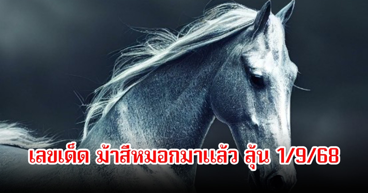 เลขเด็ด ม้าสีหมอกมาแล้ว ลุ้น 1/9/68