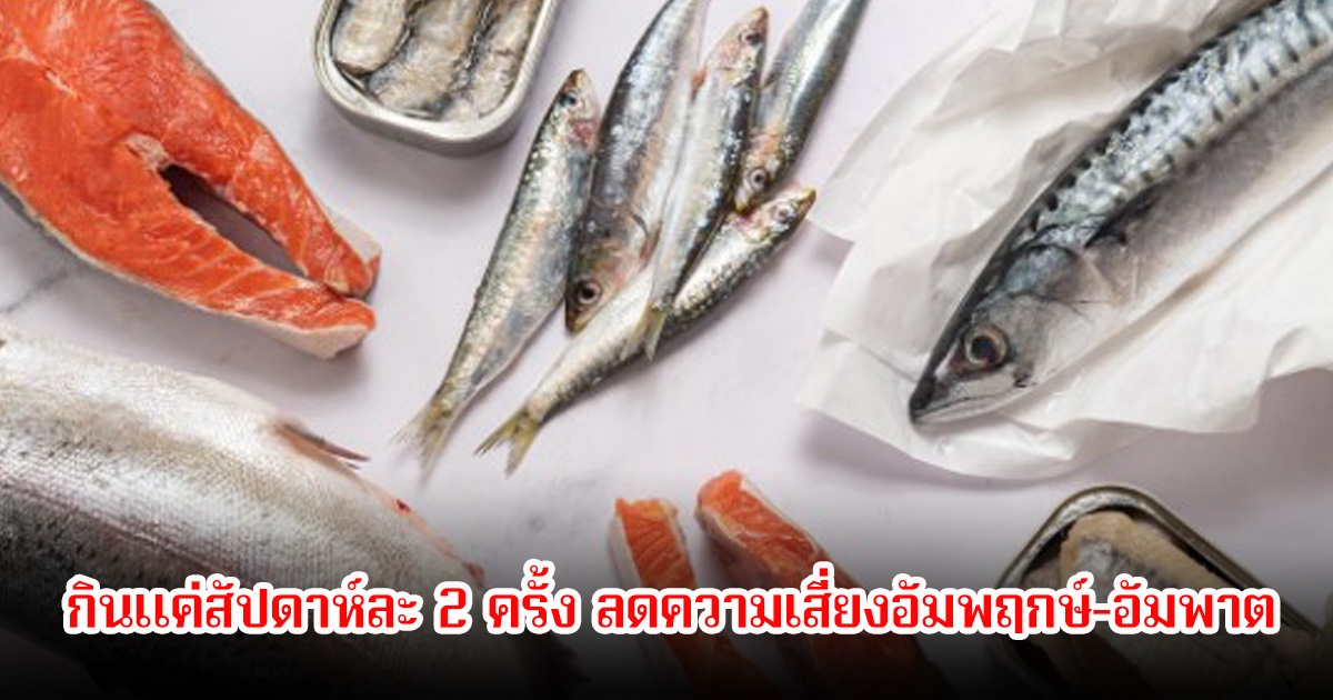 ปลา 3 ชนิด โรคสโตรกกลัวมาก กินแค่สัปดาห์ละ 2 ครั้ง ลดความเสี่ยงอัมพฤกษ์-อัมพาต