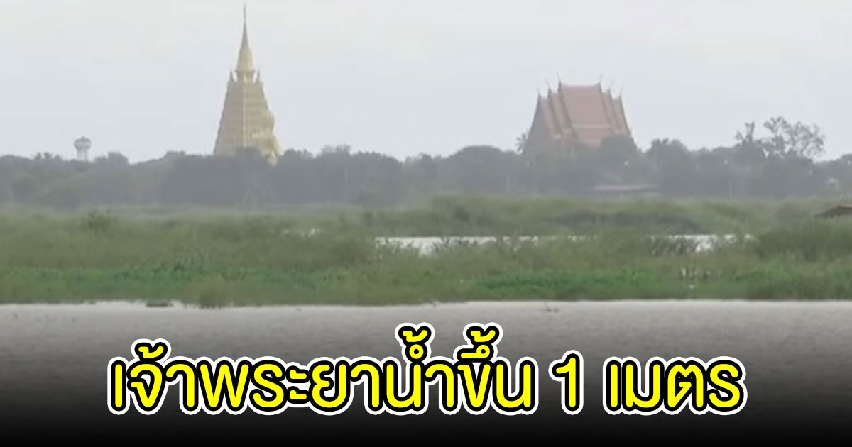แม่น้ำเจ้าพระยาสูงขึ้นอีก 1 เมตร ชาวบ้านเร่งยกพื้นเข้าบ้าน-ยกของขึ้น