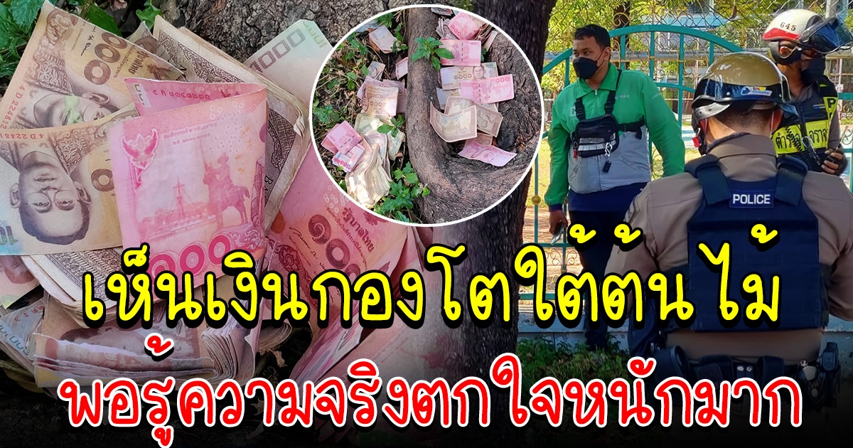 หนุ่มไรเดอร์ เห็นเงินกองโต ทิ้งเกลื่อนใต้ต้นไม้ รู้ความจริงตกใจหนักมาก