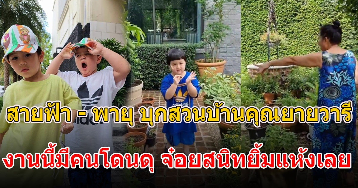 สายฟ้า พายุ บุกสวนบ้านคุณยายวารี