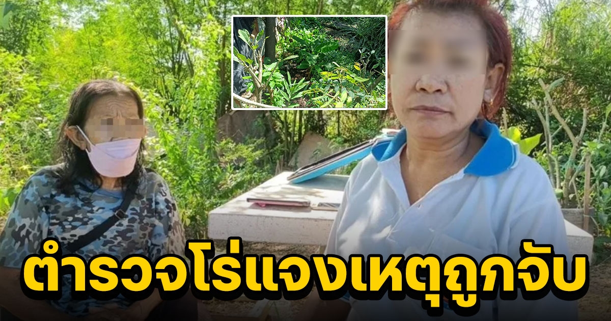 ป้าเปิดใจ ตัดกล้วยในที่ตัวเอง แต่ถูกจับนอนคุก 2 คืน ตำรวจโร่แจงเหตุถูกจับ