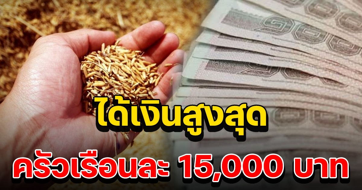 28 ธ.ค. นี้ โอนเงินประกันรายได้ข้าวงวดที่11 ให้ชาวนา สูงสุด 15,000