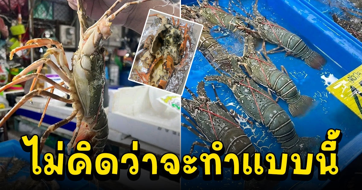 หนุ่มแวะซื้อกุ้งมังกร ตัวละ 500 ไว้ใจให้ร้านย่างให้ กลับมาอีกทีทำเสียความรู้สึกมาก