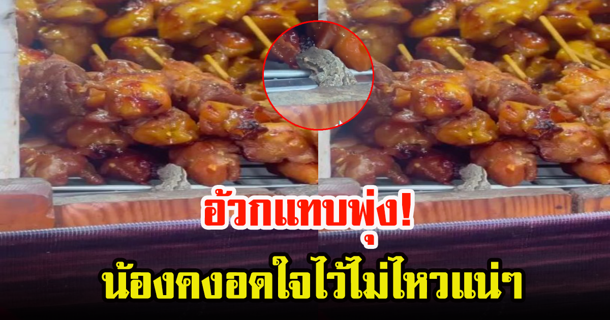 สาวโพสต์คลิปจิ้งจกตัวเป้ง เห็นแล้วแทบกรีีด เล่นเอาแบบไม่กล้ากินเลย