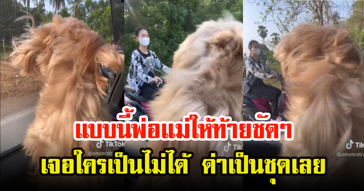 สาวเผยคลิป เมื่อลูกเจอโจทย์เก่า ด่าไม่หยุด ชาวเน็ตบอกอีกเดี๋ยวจะลงไปหยุมหัวแล้ว