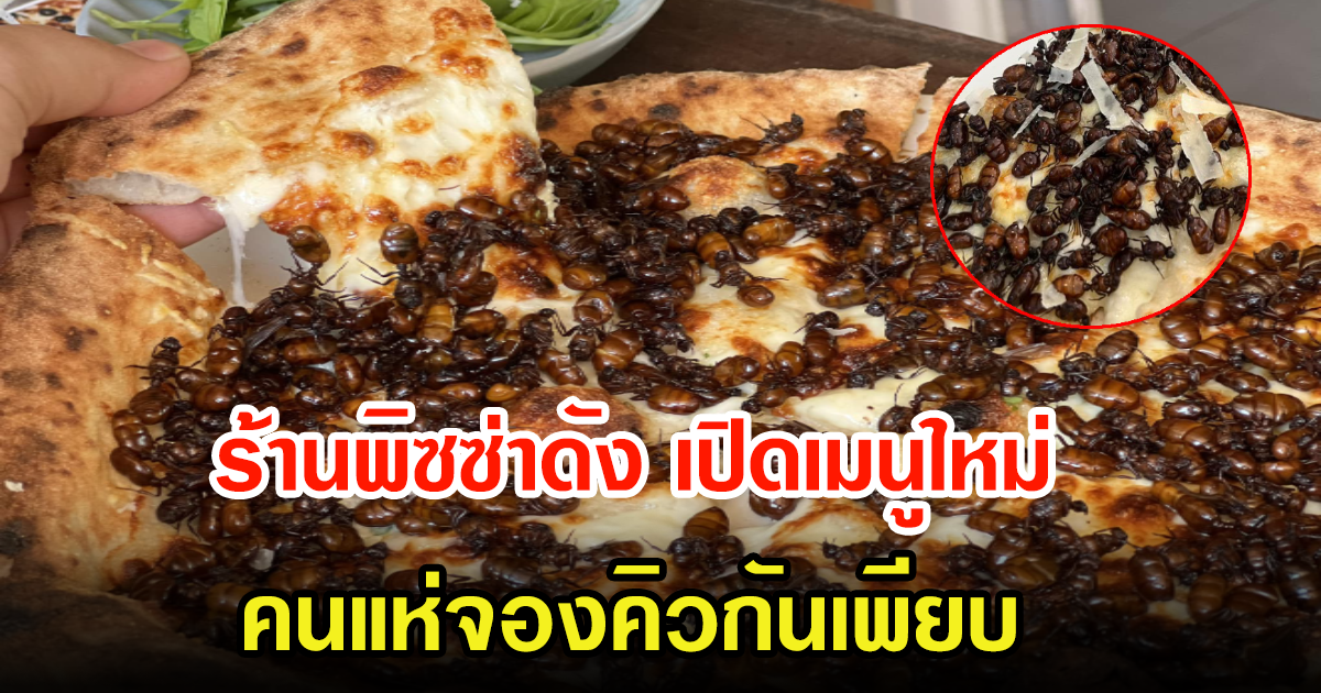 ร้านพิซซ่าดัง เผยโฉมเมนูใหม่ ชาวเน็ตเห็นพากันแห่จองเพียบ