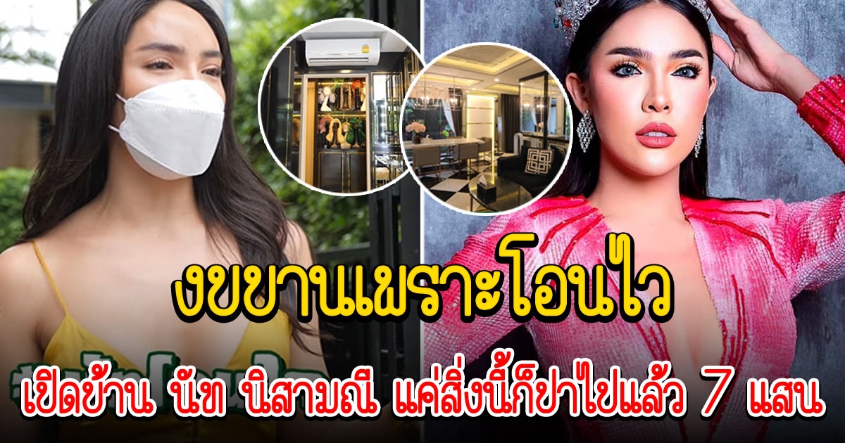 นัท นิสามณี เปิดบ้านสุดหรูใจกลางเมือง 25 ล้าน