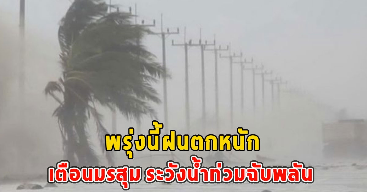 พรุ่งนี้ฝนตกหนัก เตือนมรสุม ระวังน้ำท่วมฉับพลันและน้ำป่าไหลหลาก