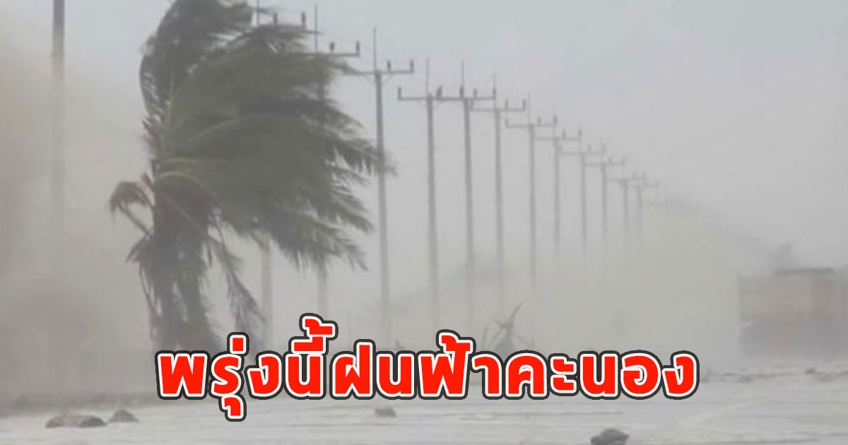 พรุ่งนี้ฝนฟ้าคะนอง เตือนจังหวัดรับมือ