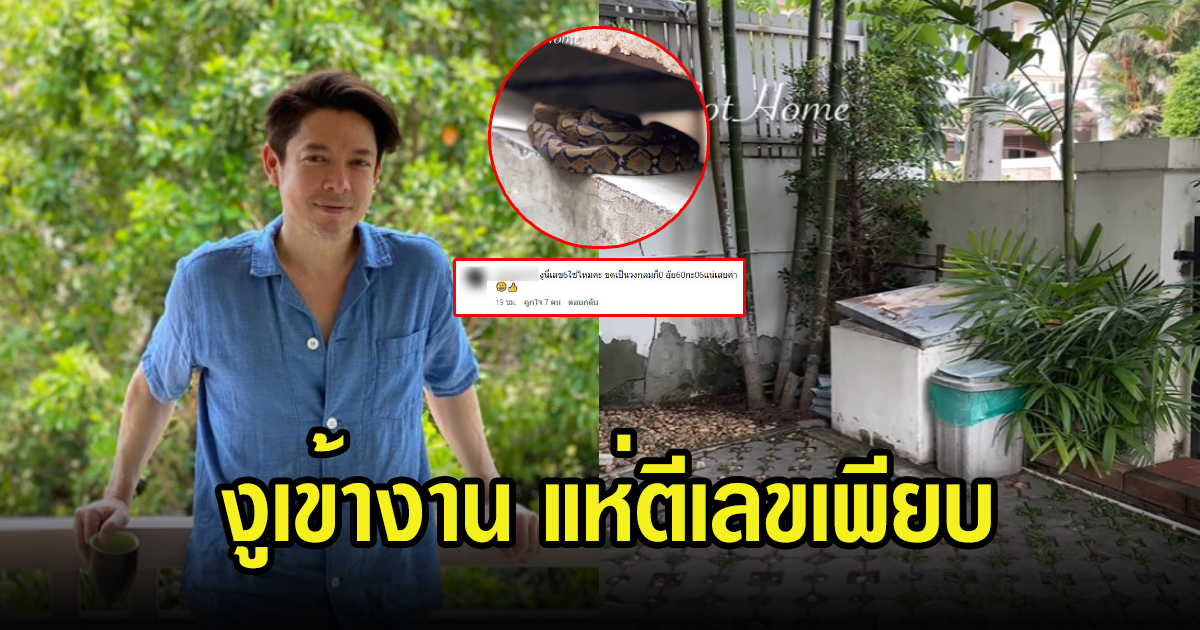 นักเสี่ยงโชคแห่ตีเลขเพียบ หลังงูเข้าบ้าน ก๊อท จักรพันธ์ ลั่นขดเป็นวงเลย