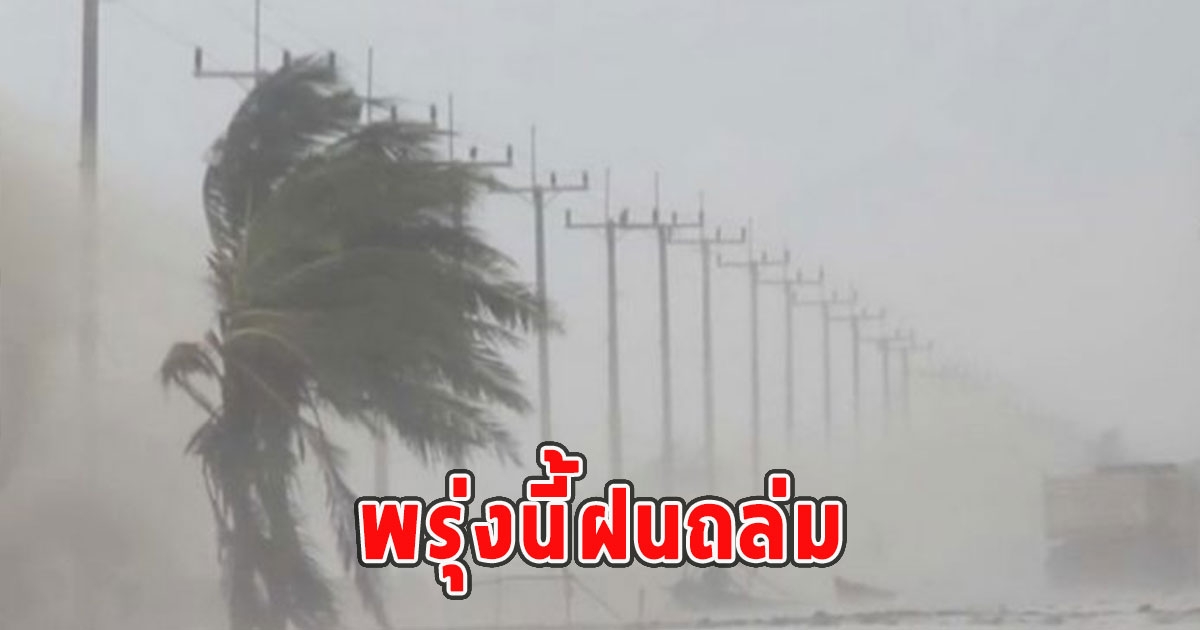 พรุ่งนี้ฝนถล่ม เตือนจังหวัดรับมือ