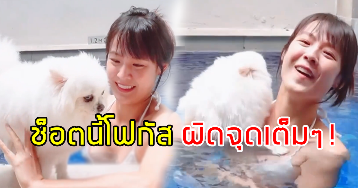 ชาวเน็ตโฟกัส แพทตี้นุ่งบิกีนี่จิ๋วลงสระกับน้องหมา หนุ่มๆก็ว้าวุ่นเลยสิคะ