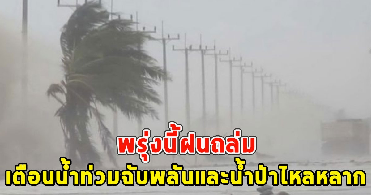 พรุ่งนี้ฝนถล่ม เตือนจังหวัดรับมือ น้ำท่วมฉับพลันและน้ำป่าไหลหลาก