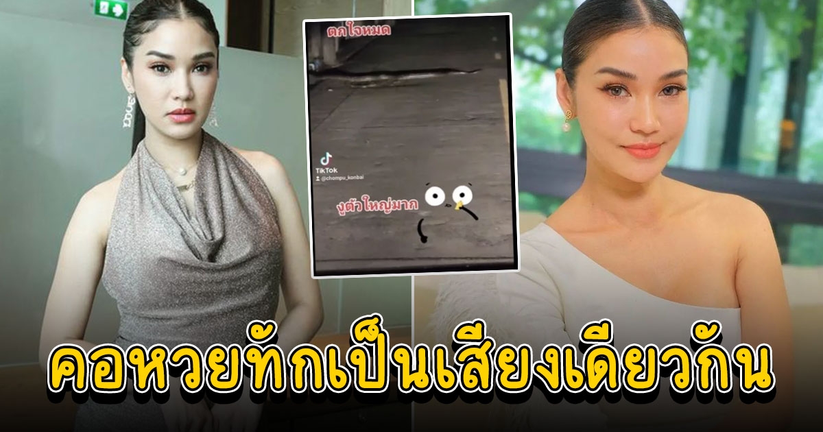 ชมพู่ ก่อนบ่าย เจองูตัวใหญ่เลื้อยผ่านหน้ารถ