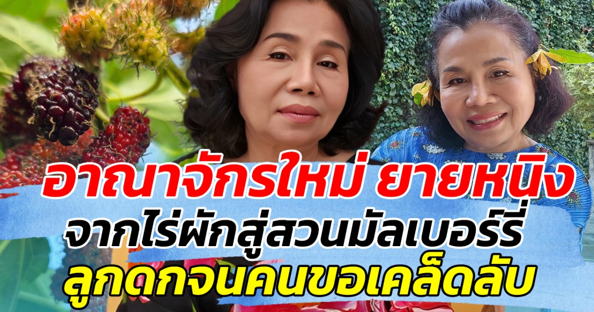 อาณาจักรใหม่ ยายหนิง จากไร่ผักสู่สวนมัลเบอร์รี่ ลูกดกจนคนขอเคล็ดลับ