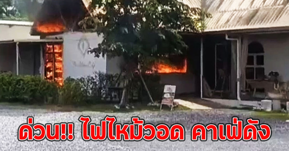 ด่วน!! ไฟไหม้วอด คาเฟ่ดัง