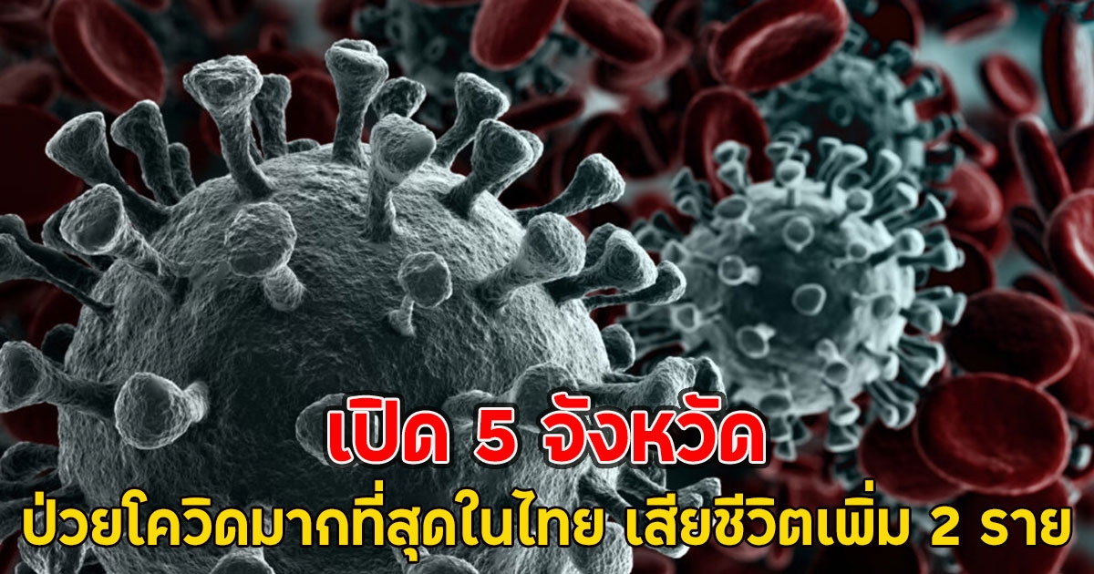 เปิด 5 จังหวัด ป่วยโควิดมากที่สุดในไทย เสียชีวิตเพิ่ม 2 ราย