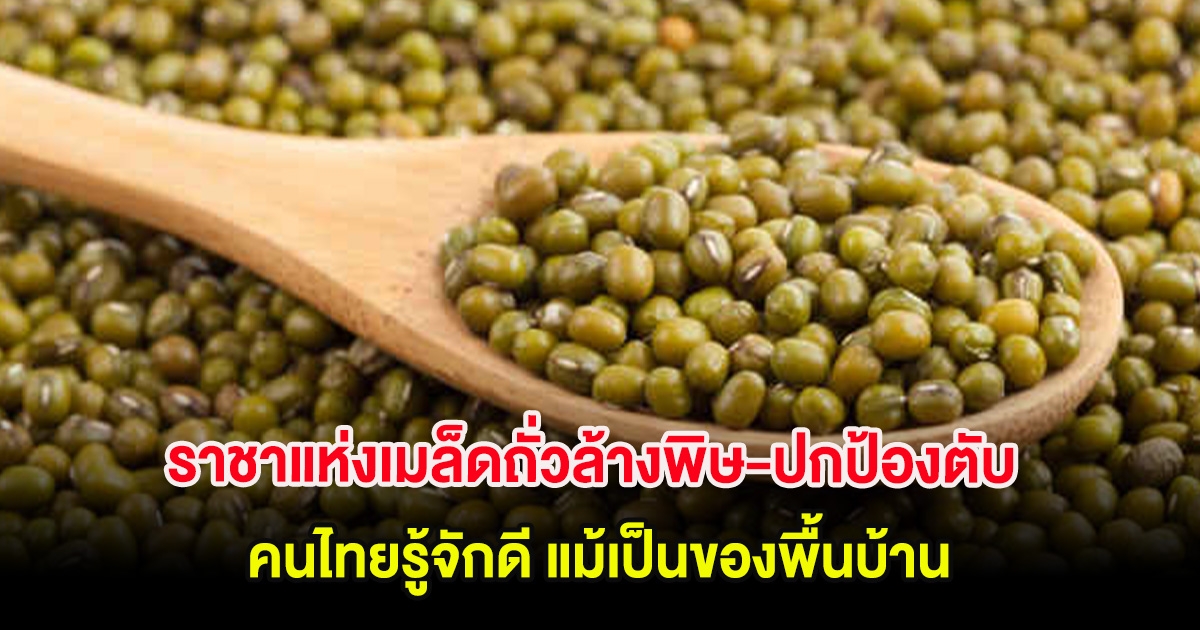 แพทย์เผยเเล้ว ราชาแห่งเมล็ดถั่วล้างพิษ-ปกป้องตับ คนไทยรู้จักดี แม้เป็นของพื้นบ้าน