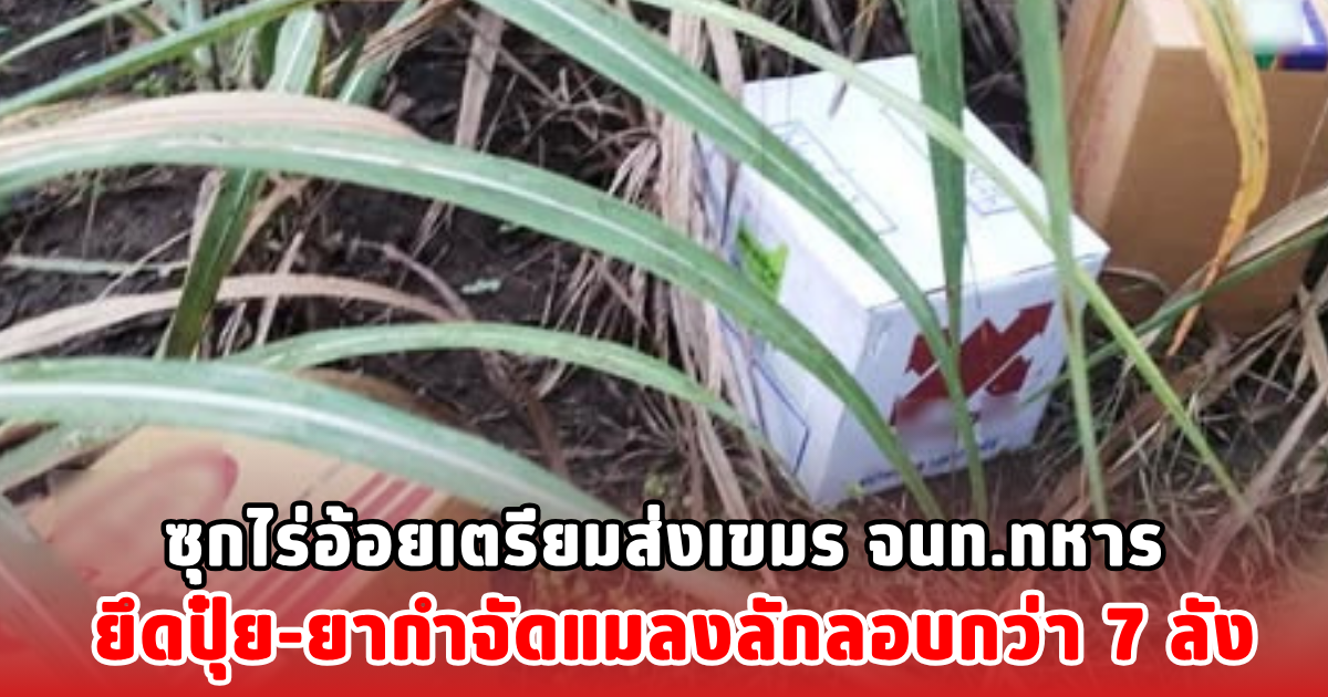 ซุกไร่อ้อยเตรียมส่งเขมร จนท.ทหาร ยึดปุ๋ย-ยากำจัดแมลงลักลอบกว่า 7 ลัง