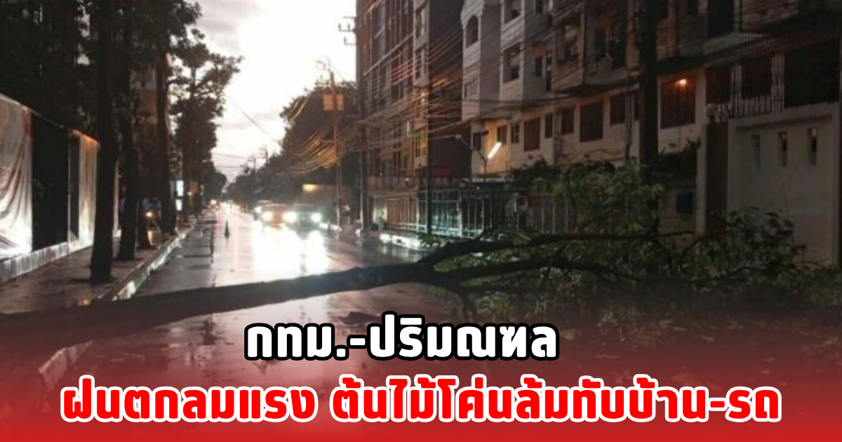 กทม.-ปริมณฑล ฝนตกลมแรง ต้นไม้โค่นล้มทับบ้าน-รถ