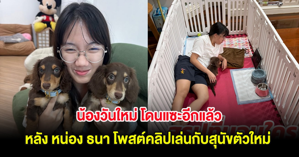 น้องวันใหม่ โดนแซะอีกแล้ว หลัง หน่อง ธนา โพสต์คลิปเล่นกับสุนัขตัวใหม่