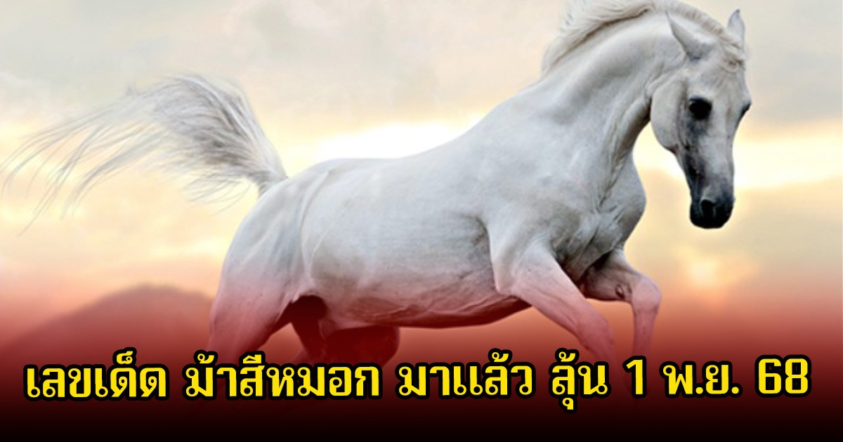 เลขเด็ด ม้าสีหมอก มาแล้ว ลุ้นงวดที่ 1 พ.ย. 68