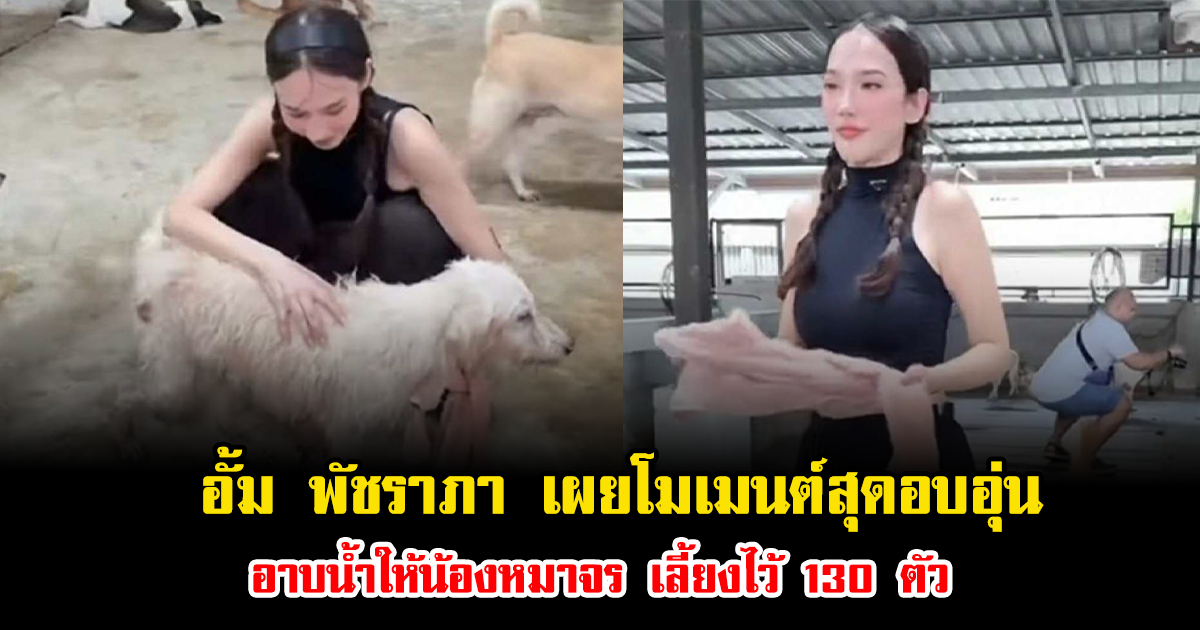 อั้ม พัชราภา เผยโมเมนต์สุดอบอุ่น อาบน้ำให้น้องหมาจร เลี้ยงไว้ 130 ตัว