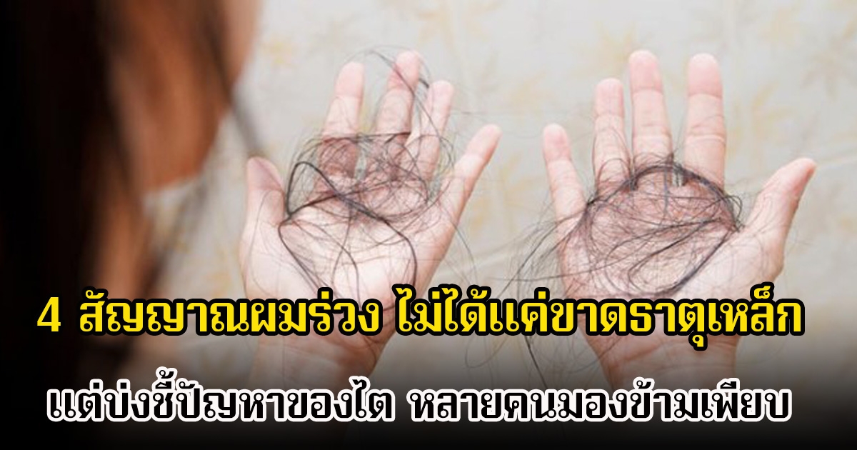 ไม่ใช่เรื่องเล็กๆ เผย 4 สัญญาณผมร่วง ไม่ได้แค่ขาดธาตุเหล็ก แต่บ่งชี้ปัญหาของไต หลายคนมองข้ามเพียบ