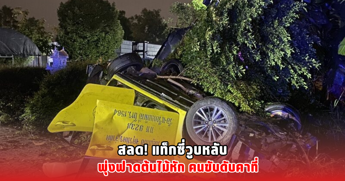 สลด! แท็กซี่วูบหลับ พุ่งฟาดต้นไม้หัก คนขับดับคาที่