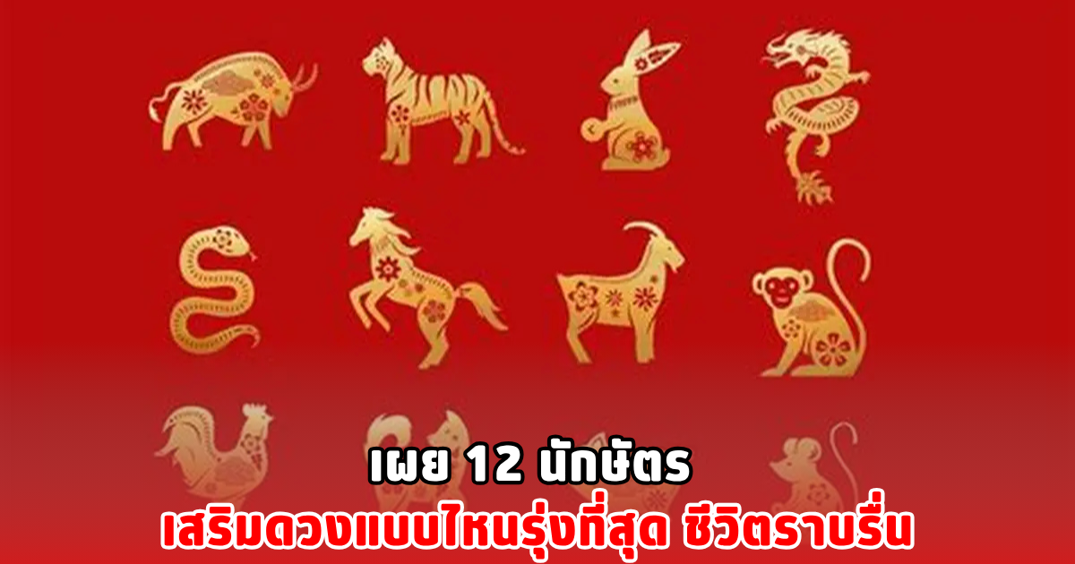 เผย 12 นักษัตร เสริมดวงแบบไหนรุ่งที่สุด ชีวิตราบรื่น