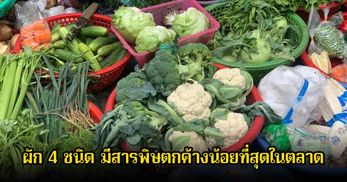 ไทยมีตลอด! ผัก 4 ชนิด มีสารพิษตกค้างน้อยที่สุดในตลาด แถมต้านมะเร็งได้ด้วย