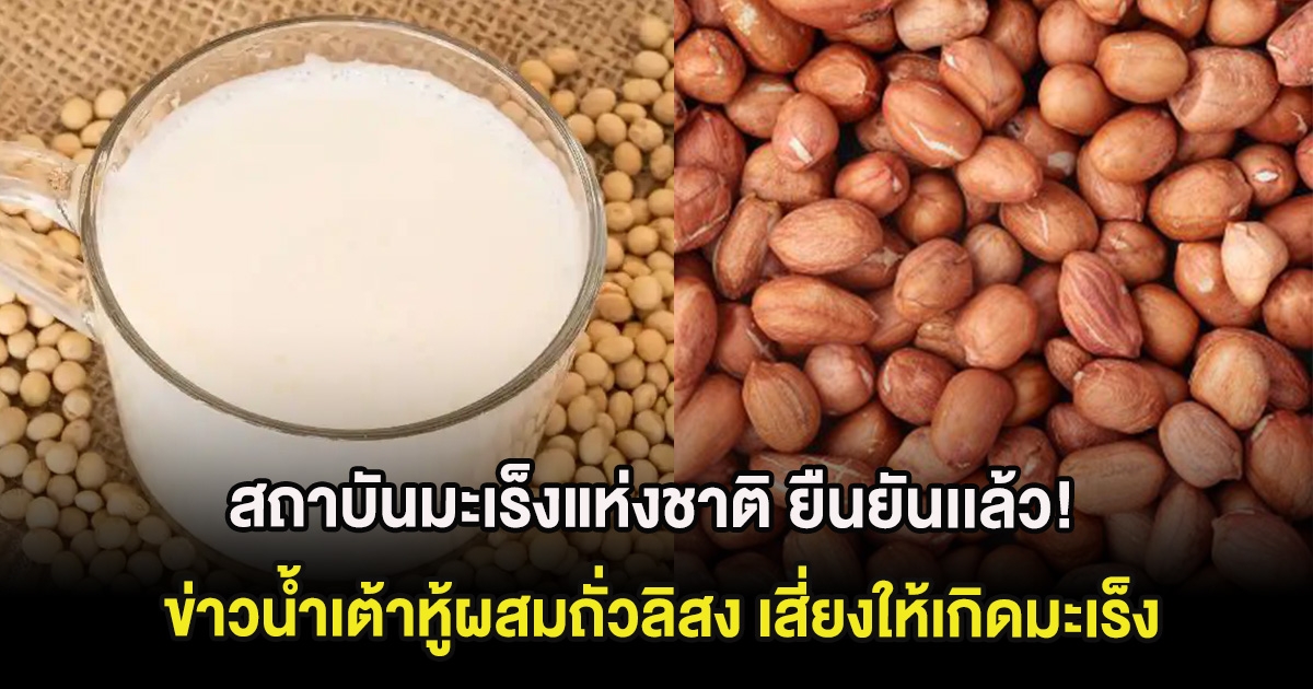 สถาบันมะเร็งแห่งชาติ ยืนยันเเล้ว! ข่าวน้ำเต้าหู้ผสมถั่วลิสง เสี่ยงให้เกิดมะเร็ง