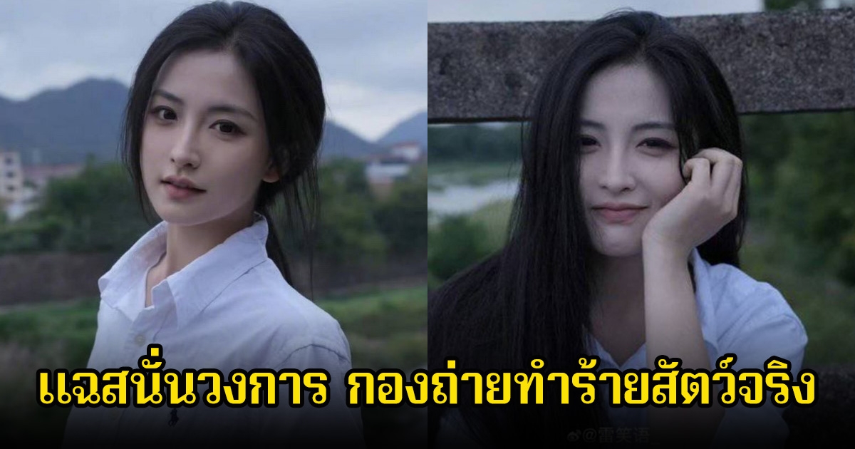 ช็อก! นางเอกดัง แฉสนั่นวงการ กองถ่ายทำร้ายสัตว์จริง รับไม่ได้หลังเห็น